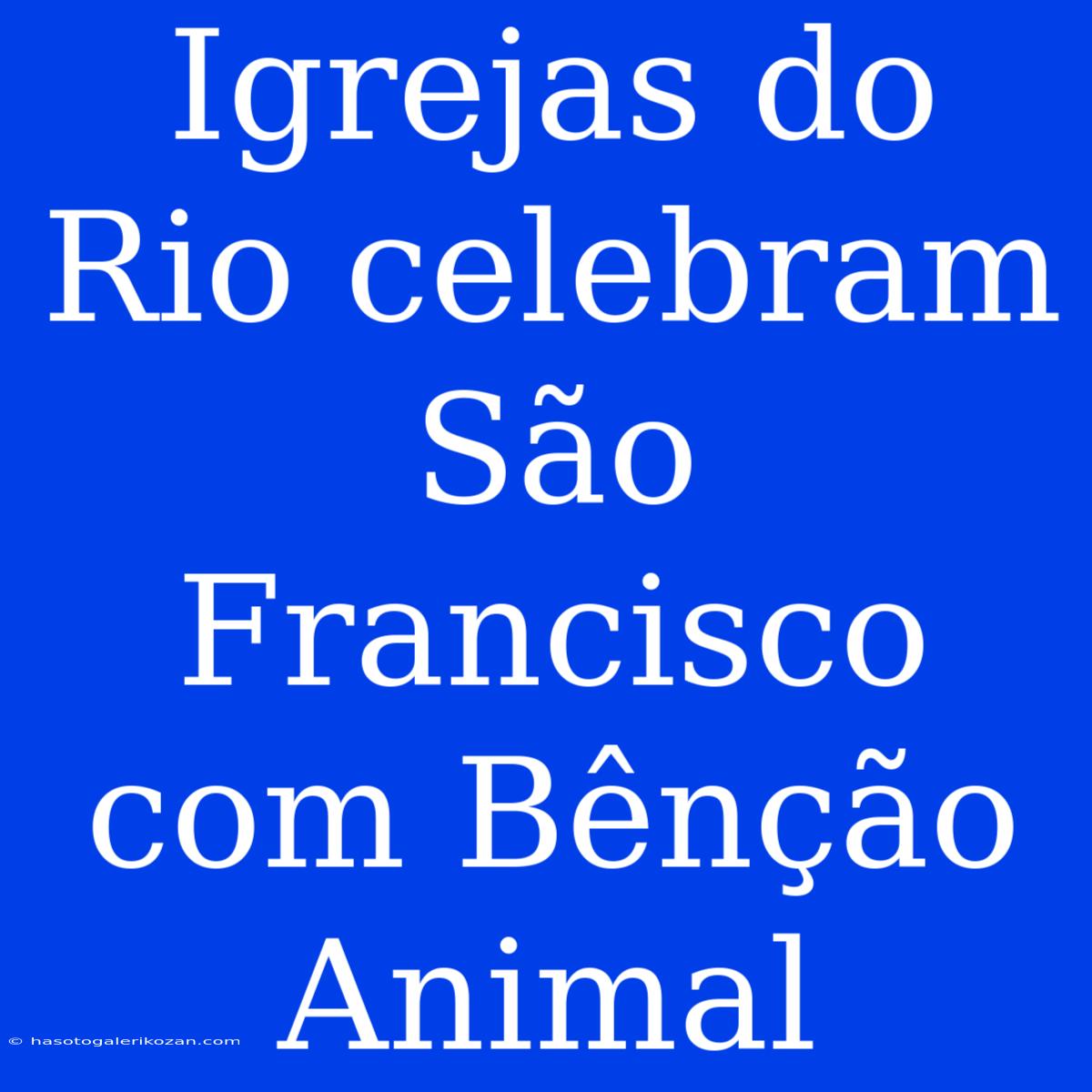 Igrejas Do Rio Celebram São Francisco Com Bênção Animal