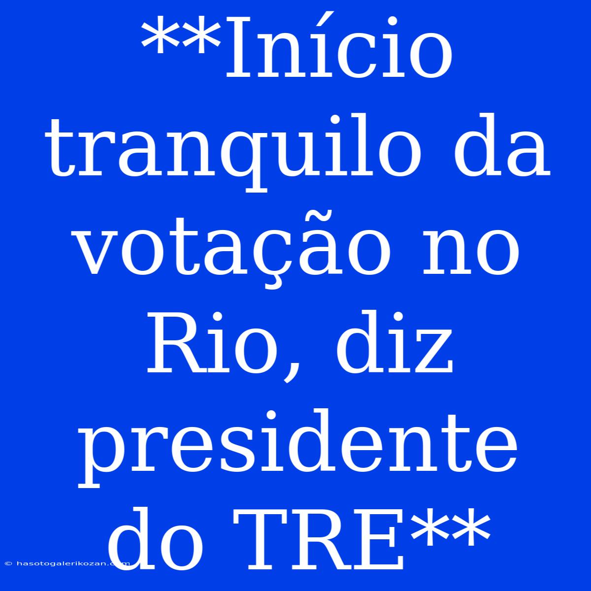 **Início Tranquilo Da Votação No Rio, Diz Presidente Do TRE**