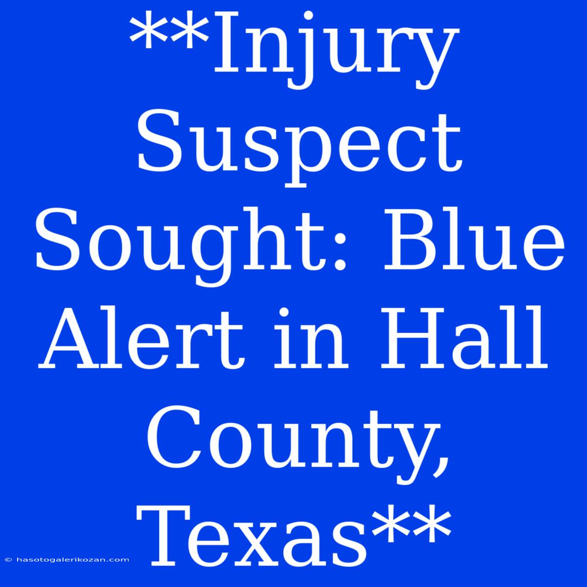 **Injury Suspect Sought: Blue Alert In Hall County, Texas**