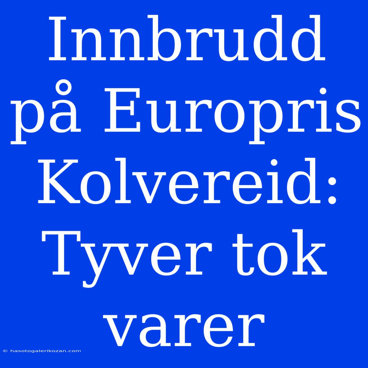 Innbrudd På Europris Kolvereid: Tyver Tok Varer