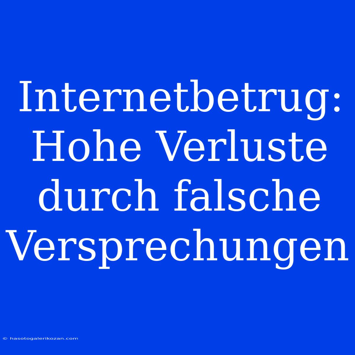 Internetbetrug: Hohe Verluste Durch Falsche Versprechungen