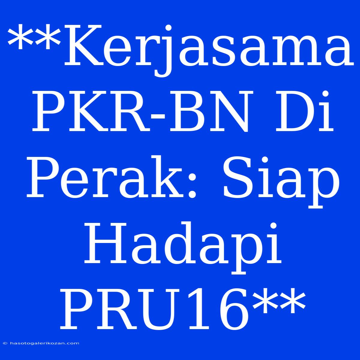 **Kerjasama PKR-BN Di Perak: Siap Hadapi PRU16**