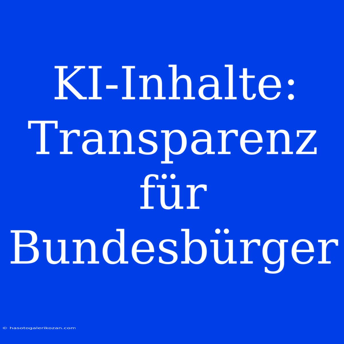 KI-Inhalte: Transparenz Für Bundesbürger