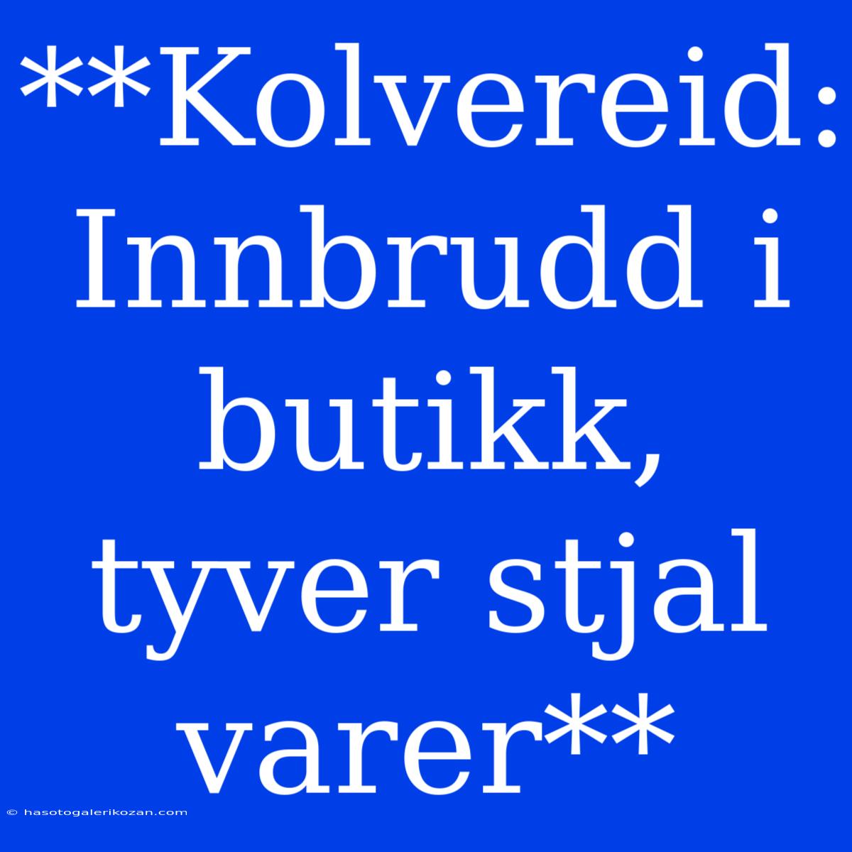 **Kolvereid: Innbrudd I Butikk, Tyver Stjal Varer**