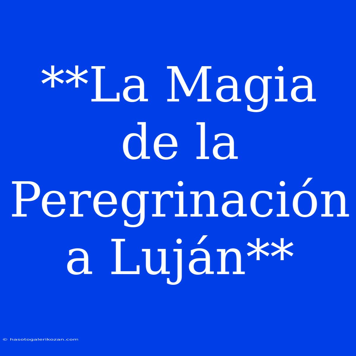 **La Magia De La Peregrinación A Luján** 