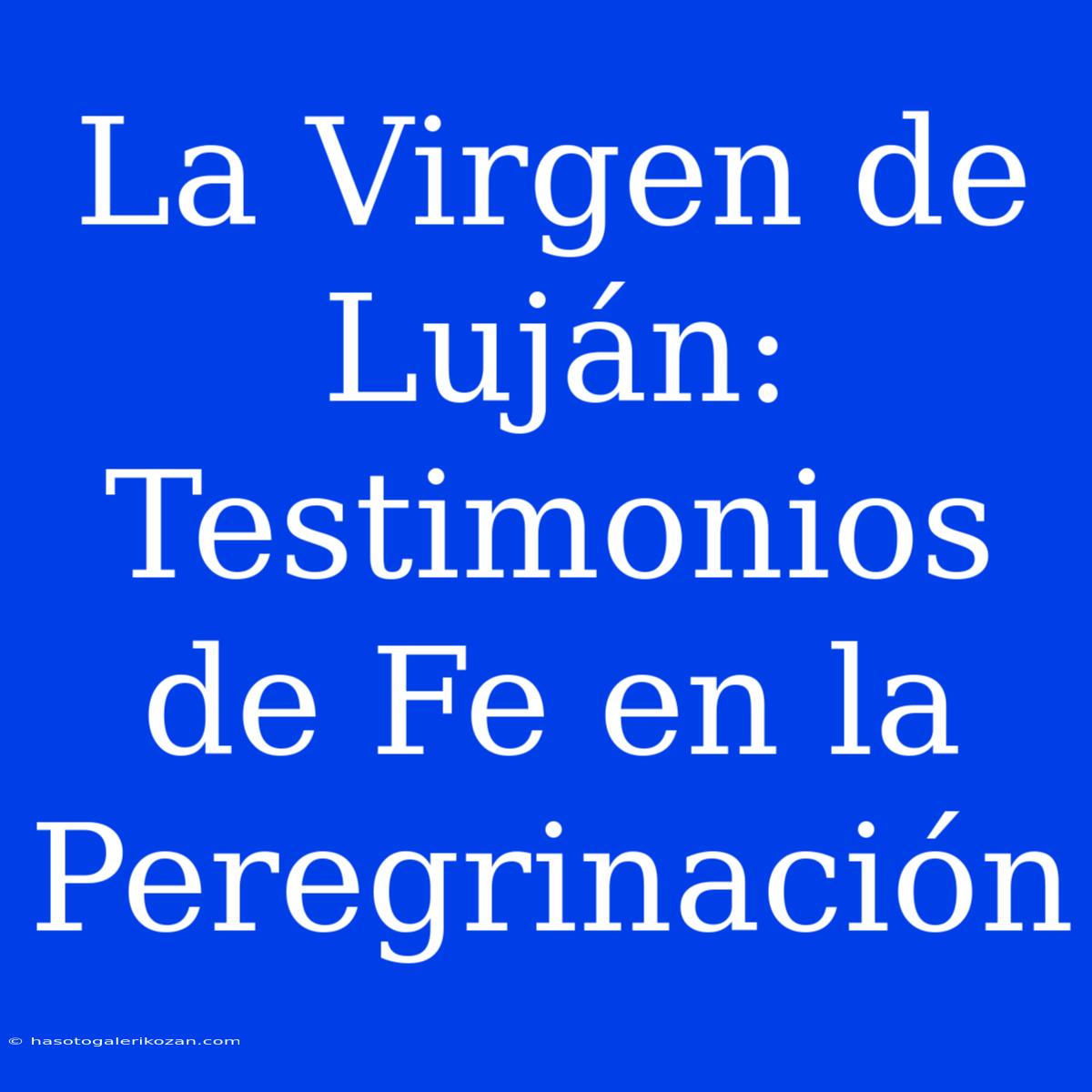 La Virgen De Luján: Testimonios De Fe En La Peregrinación