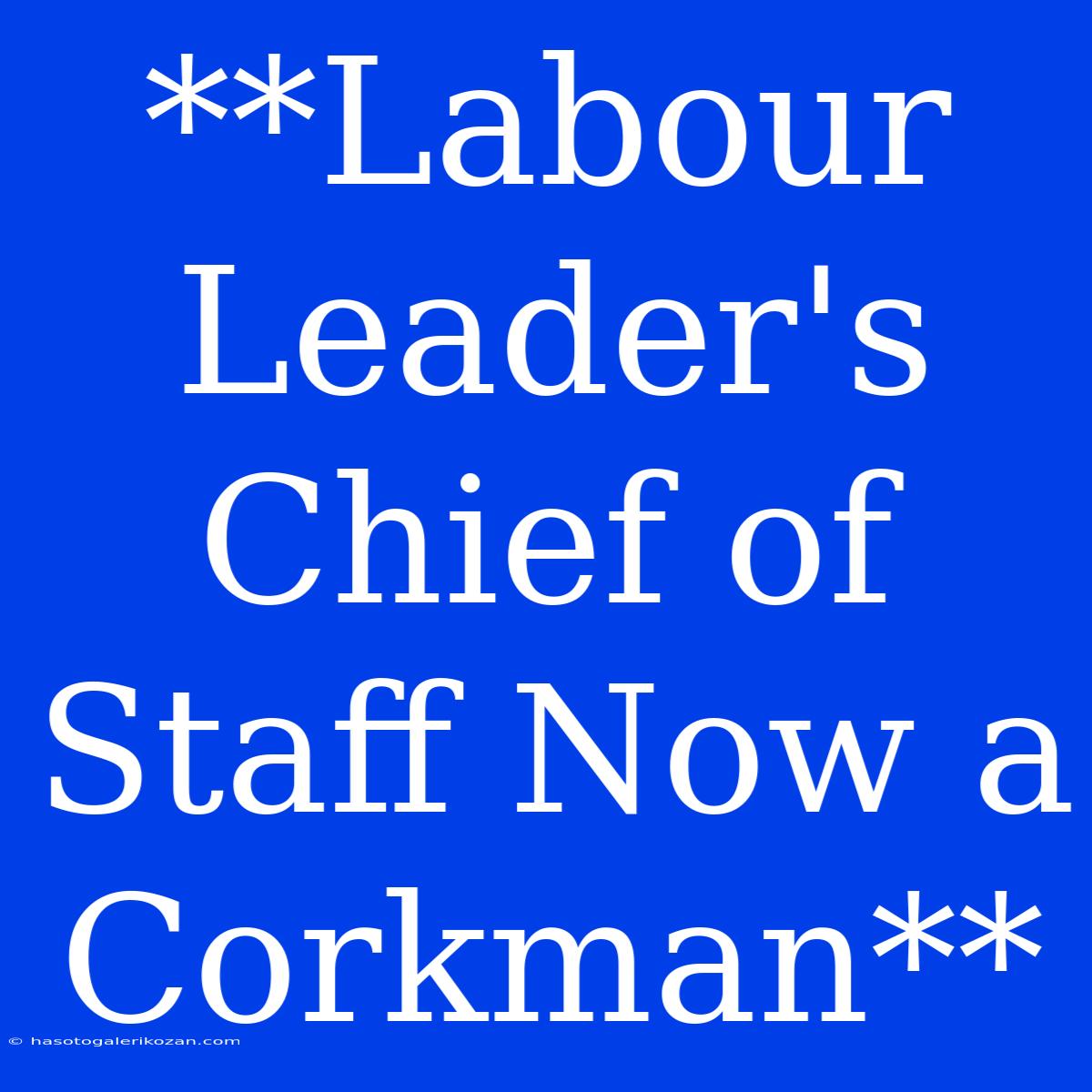 **Labour Leader's Chief Of Staff Now A Corkman**