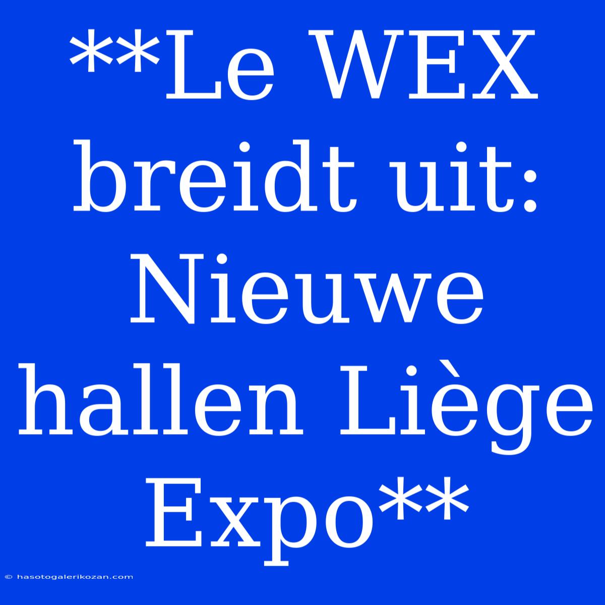 **Le WEX Breidt Uit: Nieuwe Hallen Liège Expo**