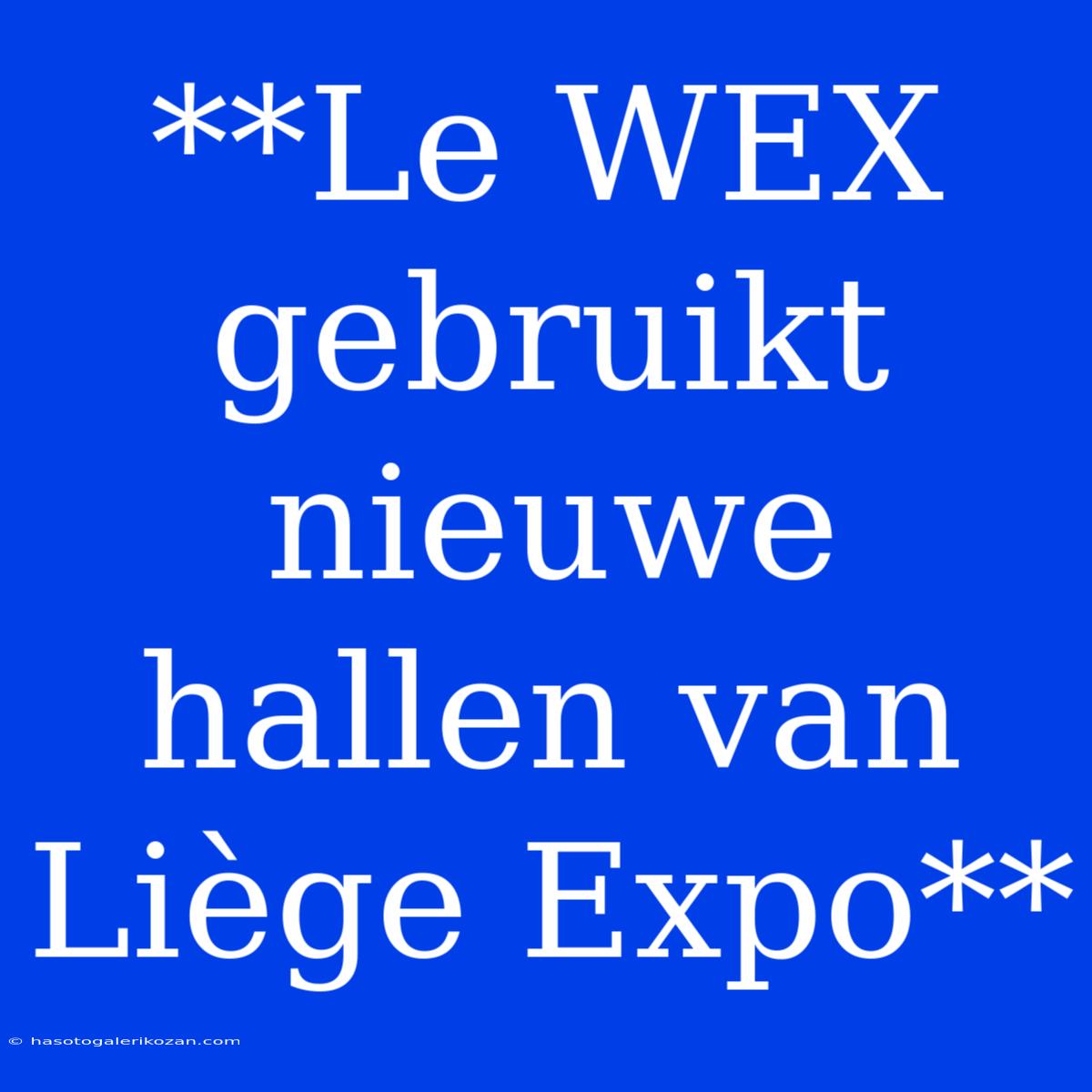 **Le WEX Gebruikt Nieuwe Hallen Van Liège Expo**