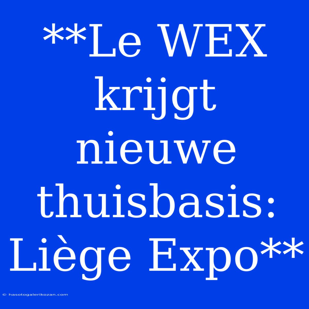 **Le WEX Krijgt Nieuwe Thuisbasis: Liège Expo**