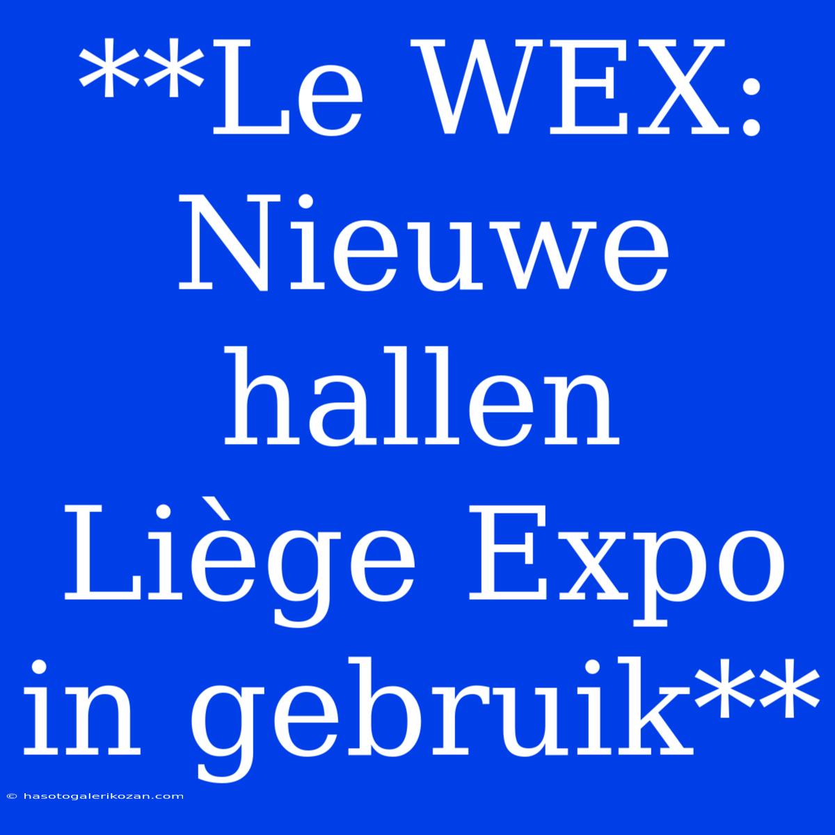 **Le WEX: Nieuwe Hallen Liège Expo In Gebruik**