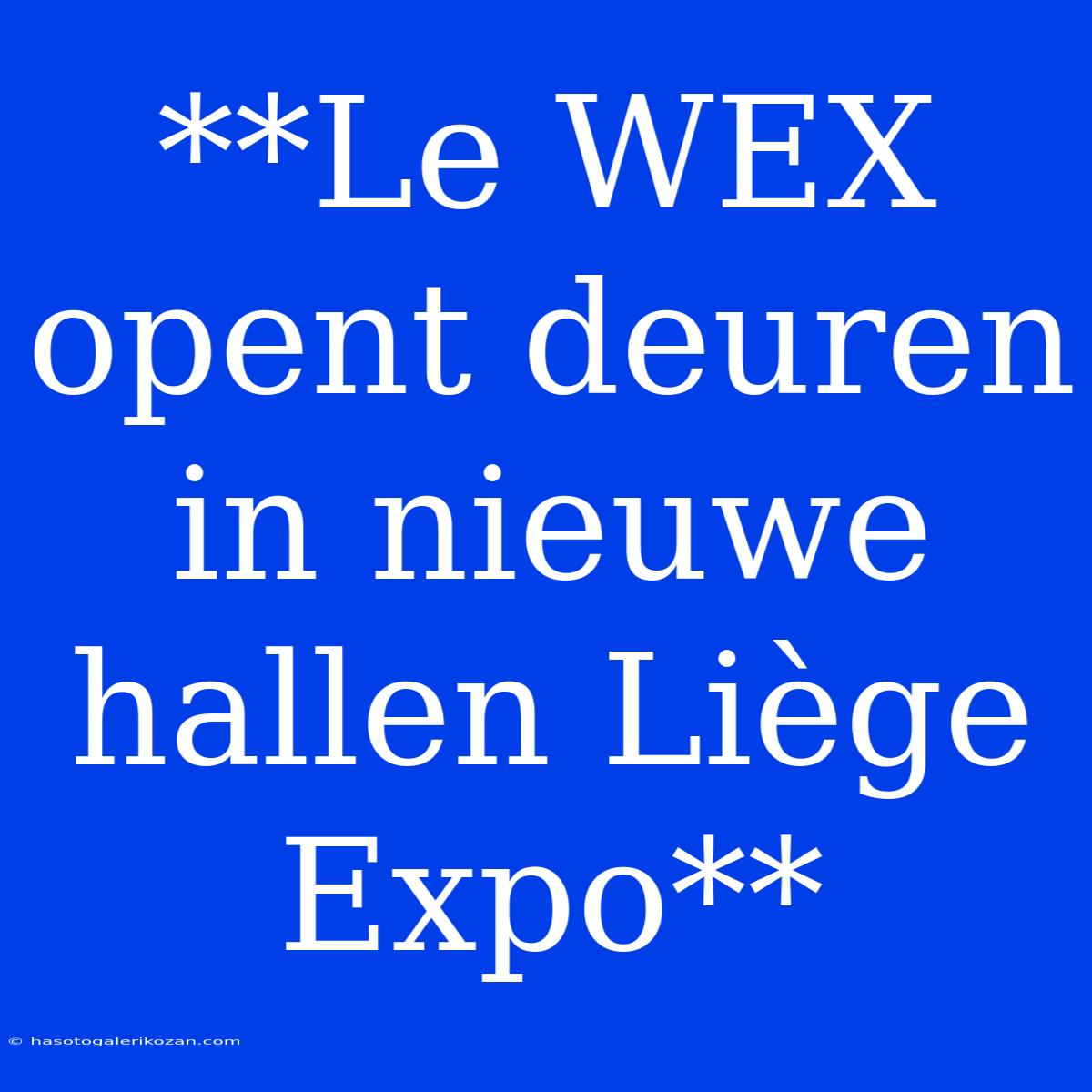 **Le WEX Opent Deuren In Nieuwe Hallen Liège Expo**