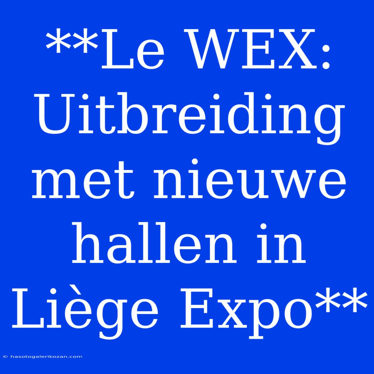 **Le WEX: Uitbreiding Met Nieuwe Hallen In Liège Expo** 