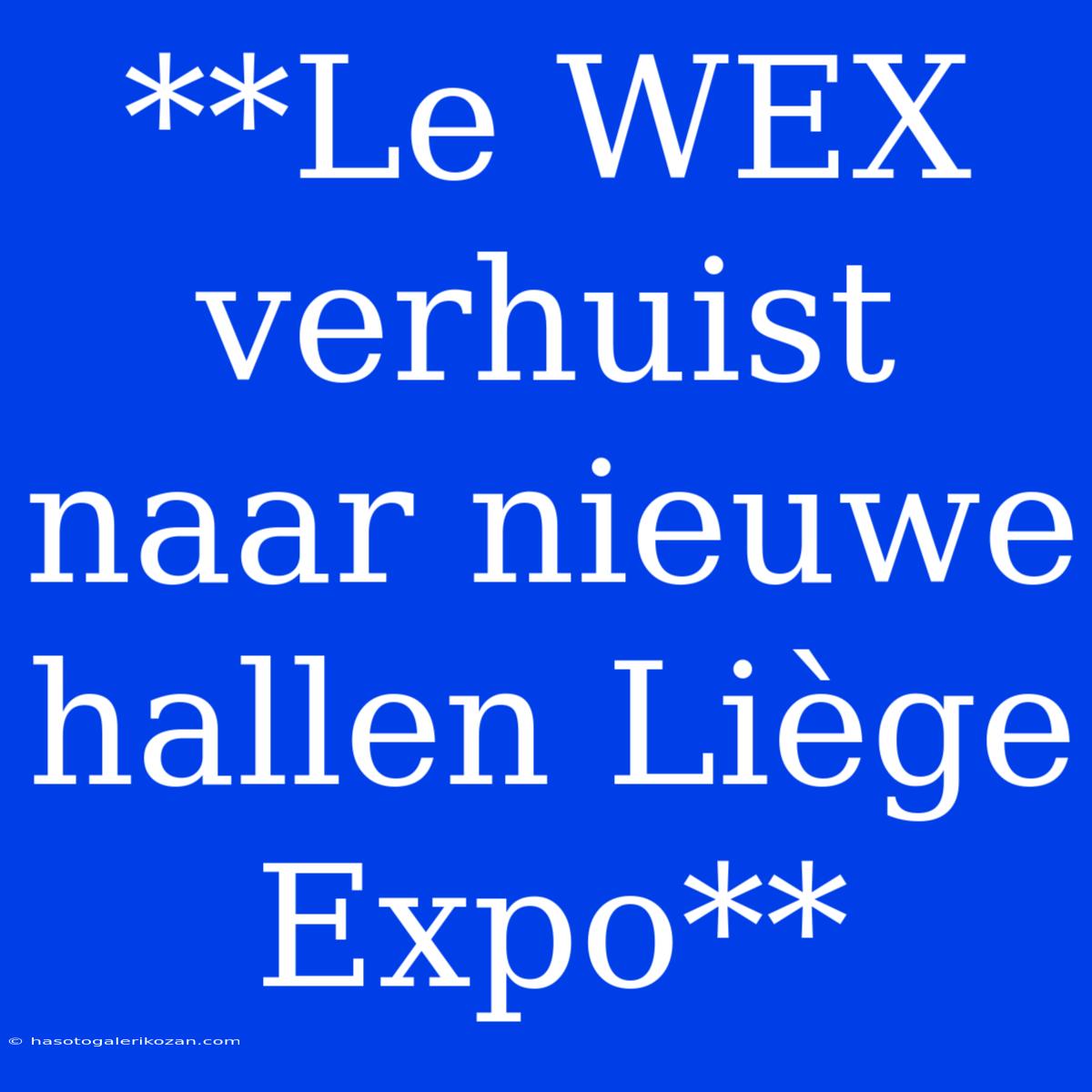 **Le WEX Verhuist Naar Nieuwe Hallen Liège Expo**