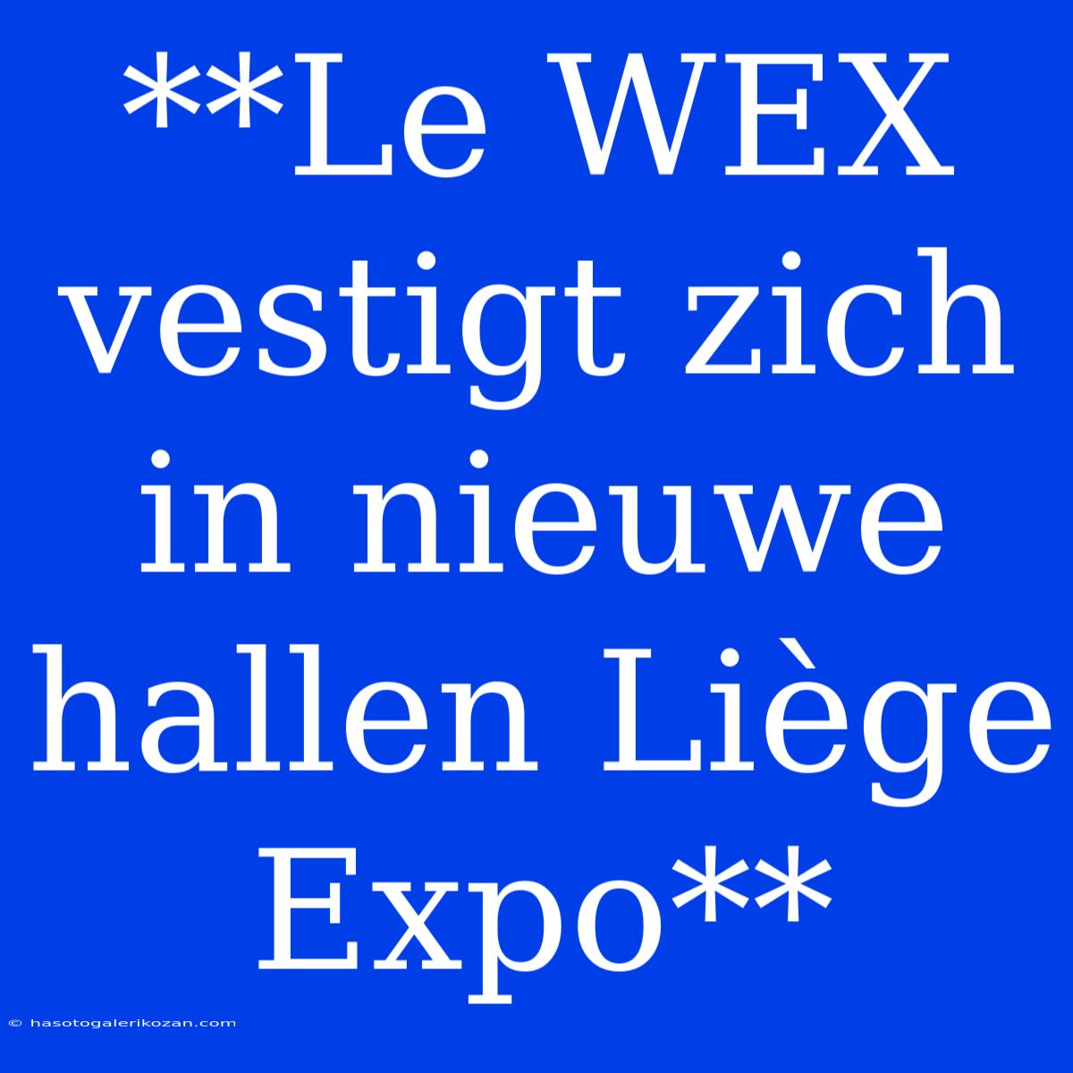 **Le WEX Vestigt Zich In Nieuwe Hallen Liège Expo**