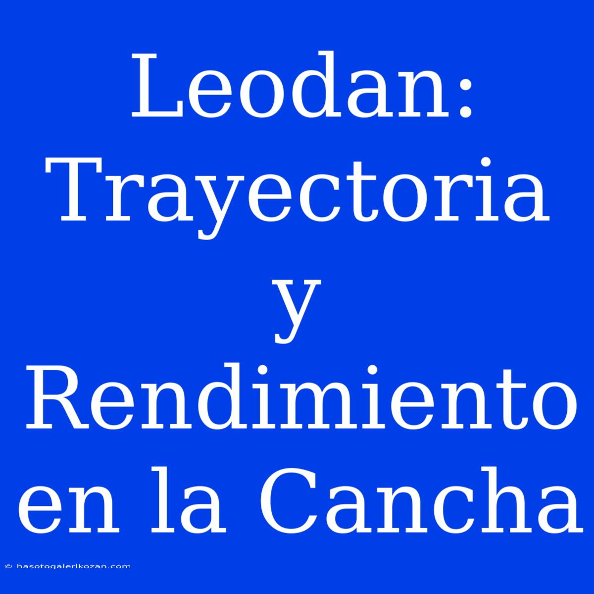 Leodan: Trayectoria Y Rendimiento En La Cancha