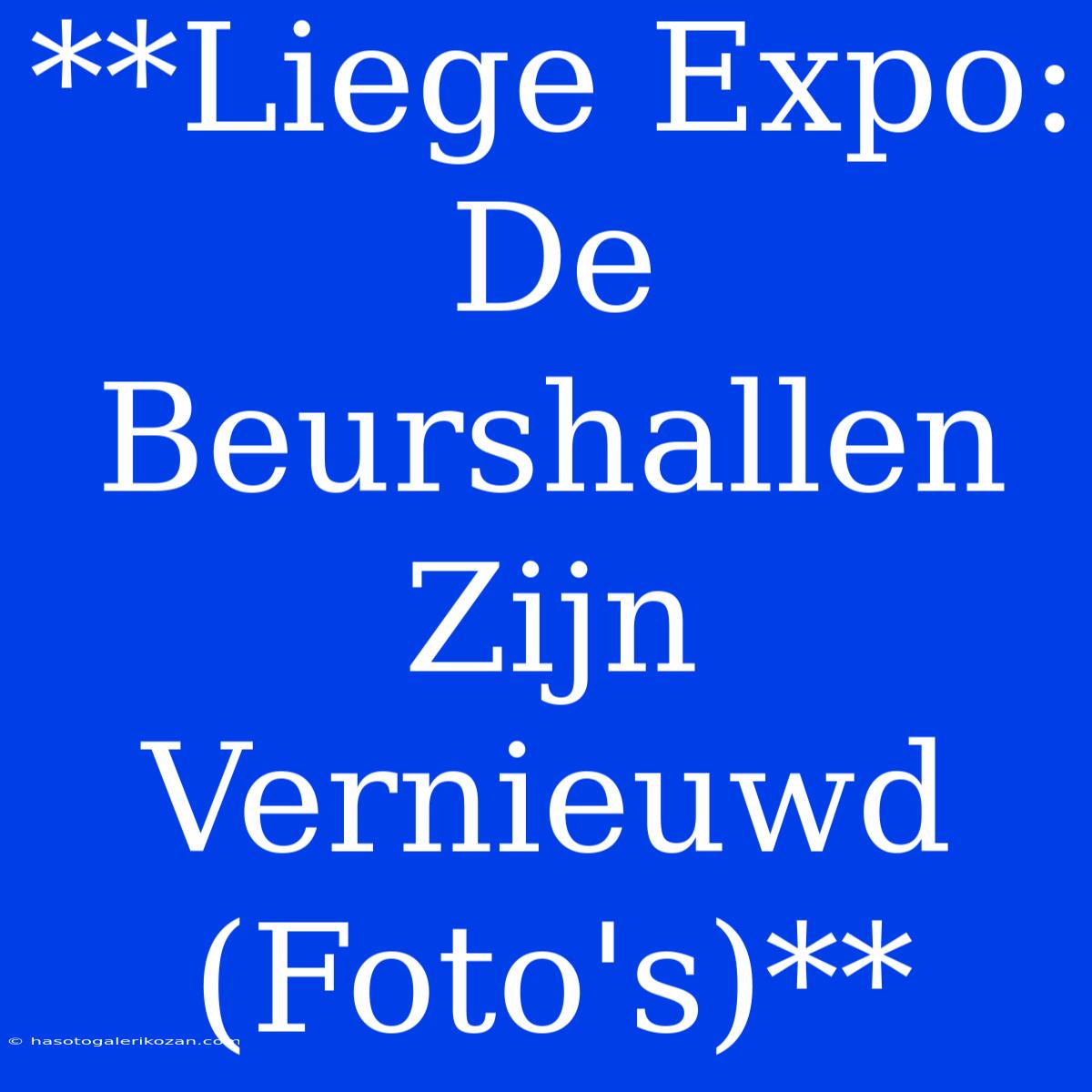 **Liege Expo: De Beurshallen Zijn Vernieuwd (Foto's)**