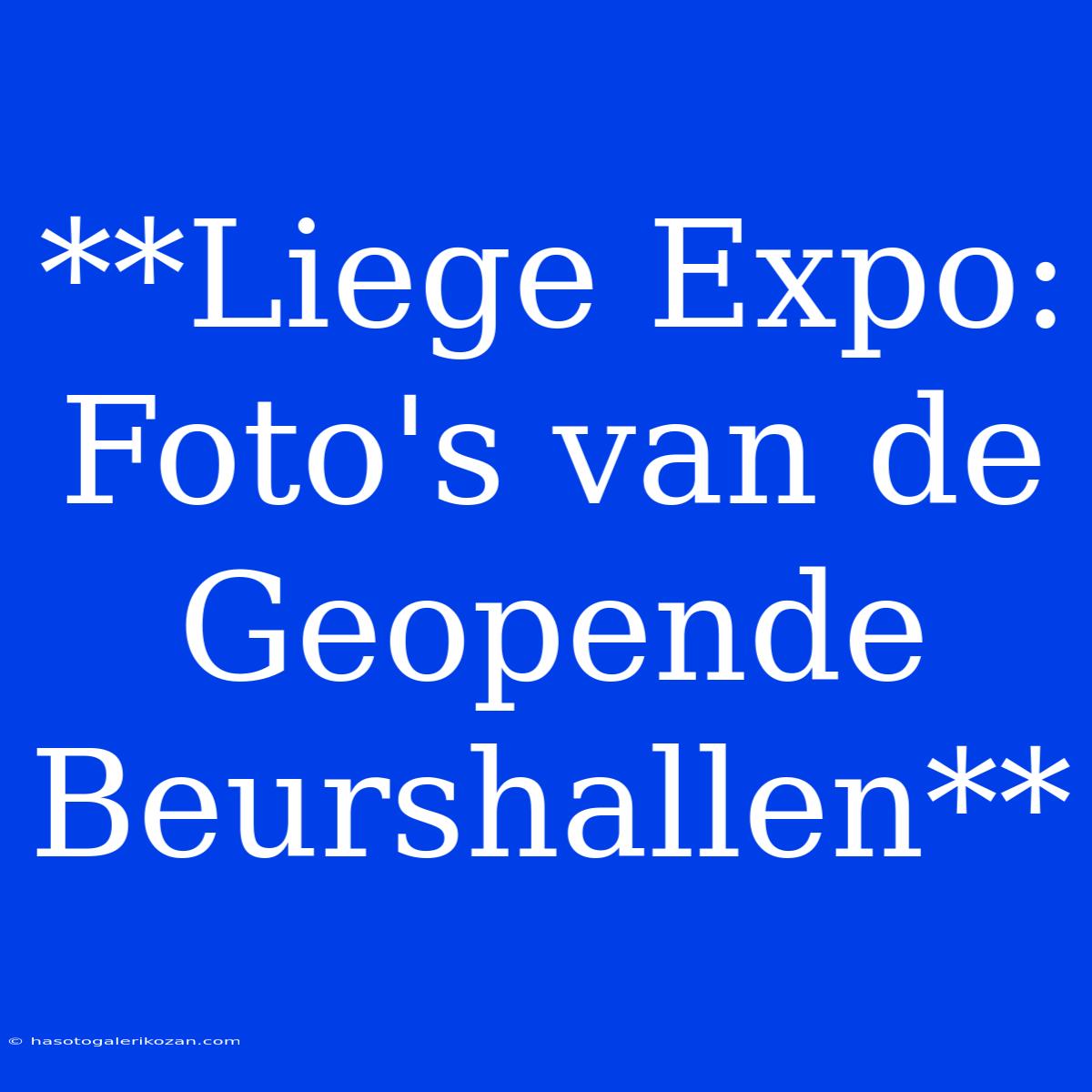 **Liege Expo: Foto's Van De Geopende Beurshallen**