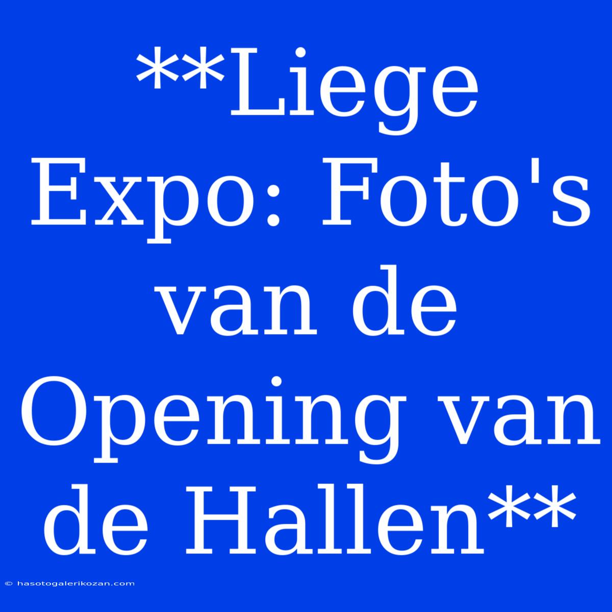 **Liege Expo: Foto's Van De Opening Van De Hallen**