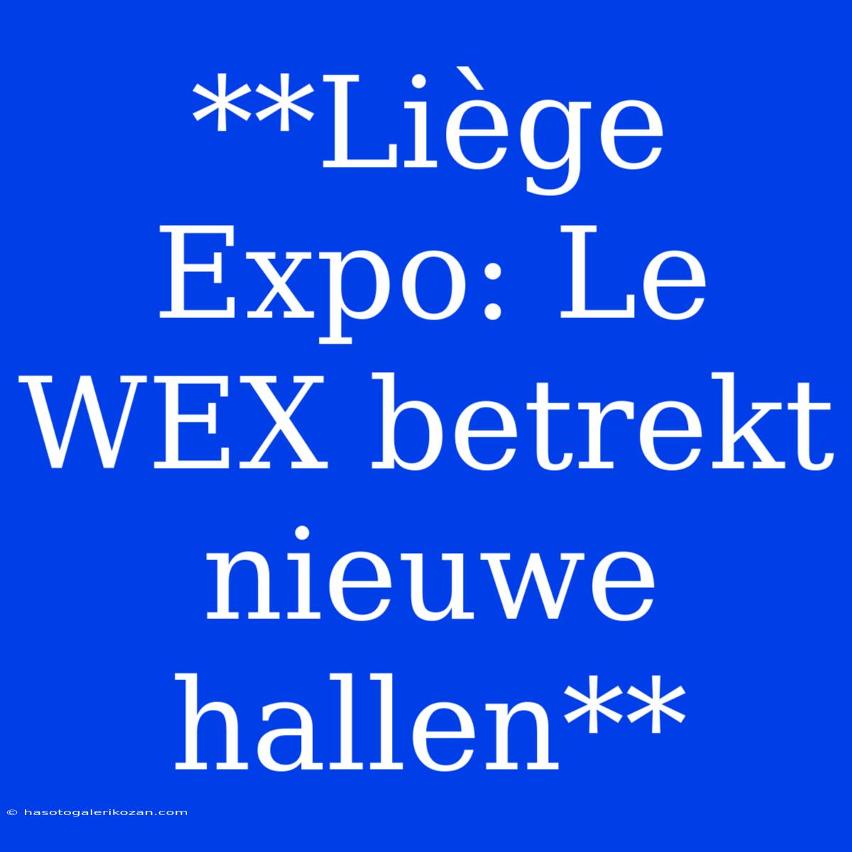 **Liège Expo: Le WEX Betrekt Nieuwe Hallen**