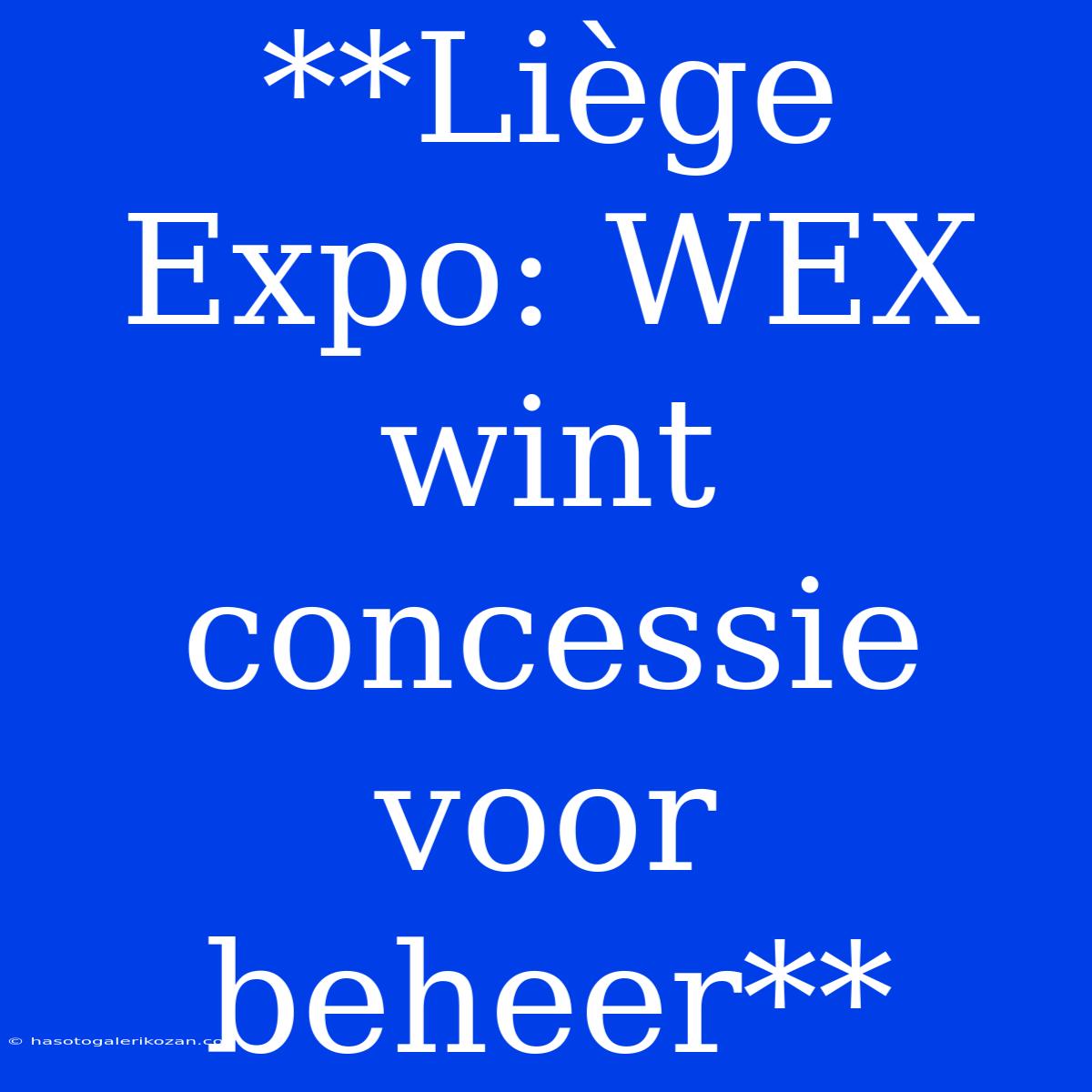 **Liège Expo: WEX Wint Concessie Voor Beheer**