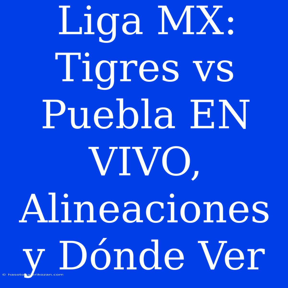 Liga MX: Tigres Vs Puebla EN VIVO, Alineaciones Y Dónde Ver