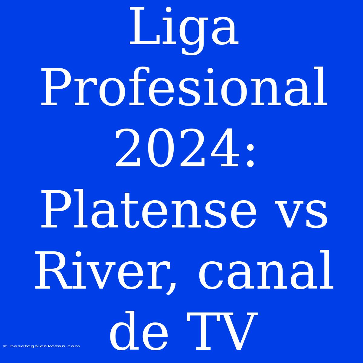 Liga Profesional 2024: Platense Vs River, Canal De TV