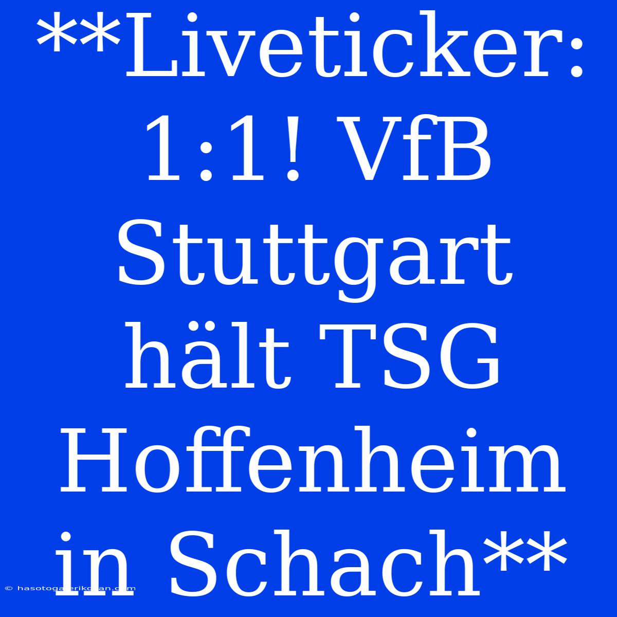 **Liveticker: 1:1! VfB Stuttgart Hält TSG Hoffenheim In Schach**