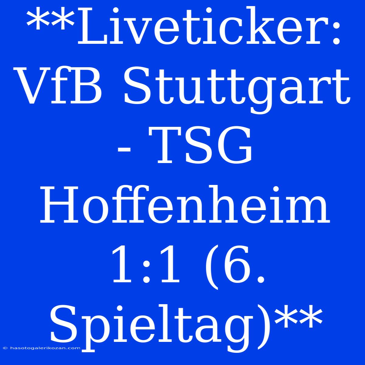 **Liveticker: VfB Stuttgart - TSG Hoffenheim 1:1 (6. Spieltag)**