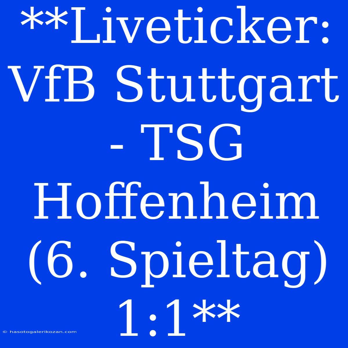 **Liveticker: VfB Stuttgart - TSG Hoffenheim (6. Spieltag) 1:1**