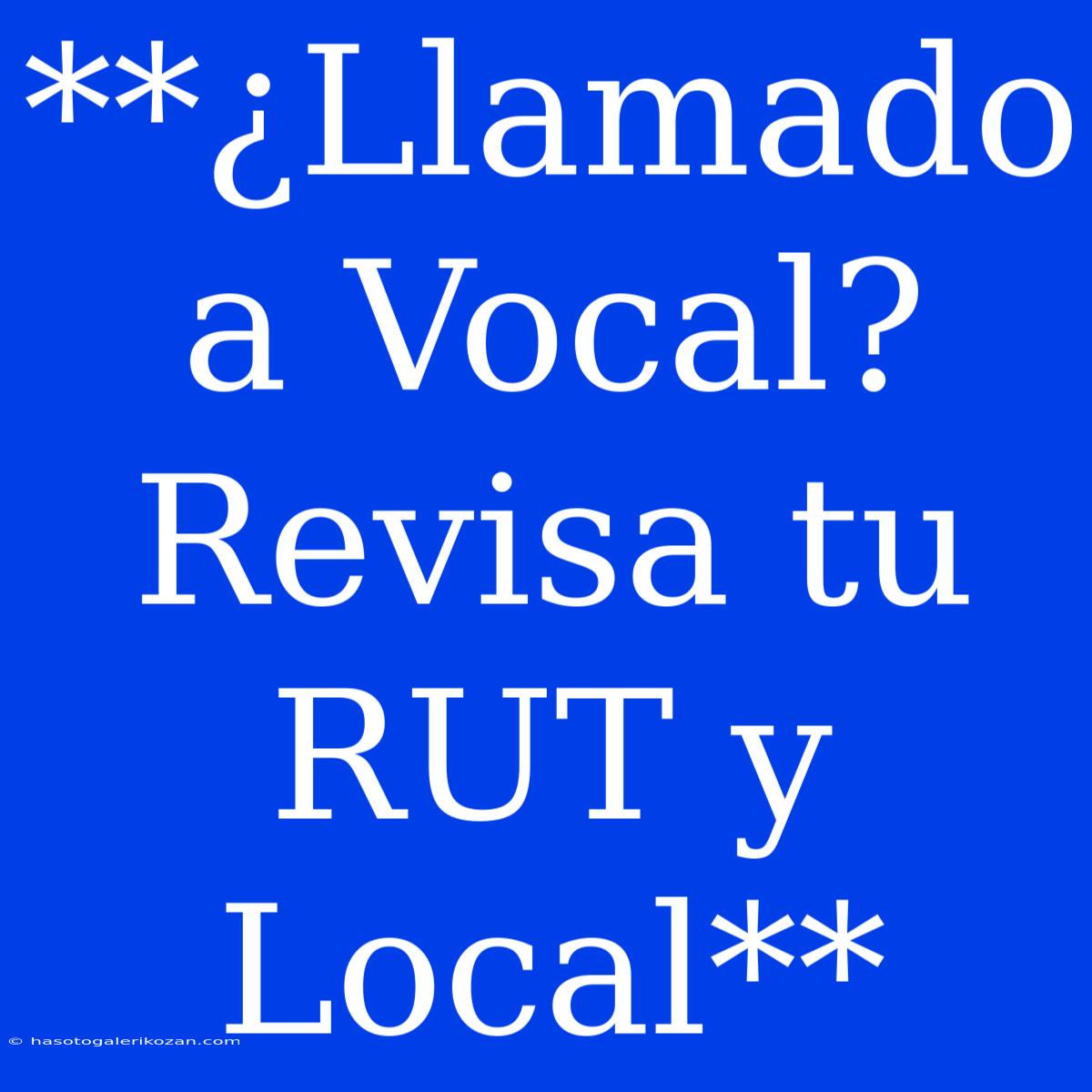 **¿Llamado A Vocal? Revisa Tu RUT Y Local**