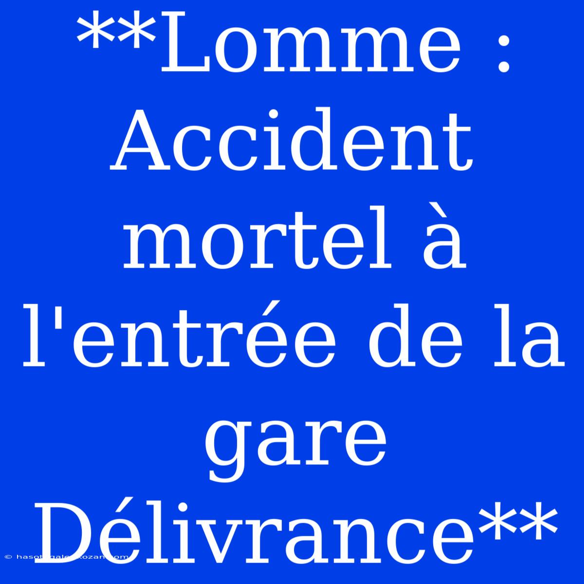 **Lomme : Accident Mortel À L'entrée De La Gare Délivrance**