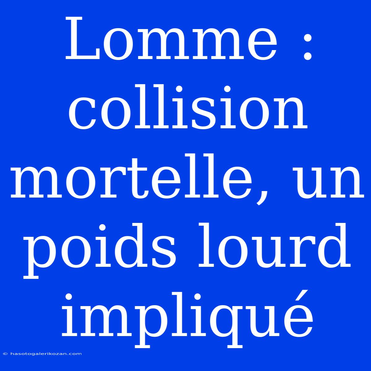 Lomme : Collision Mortelle, Un Poids Lourd Impliqué