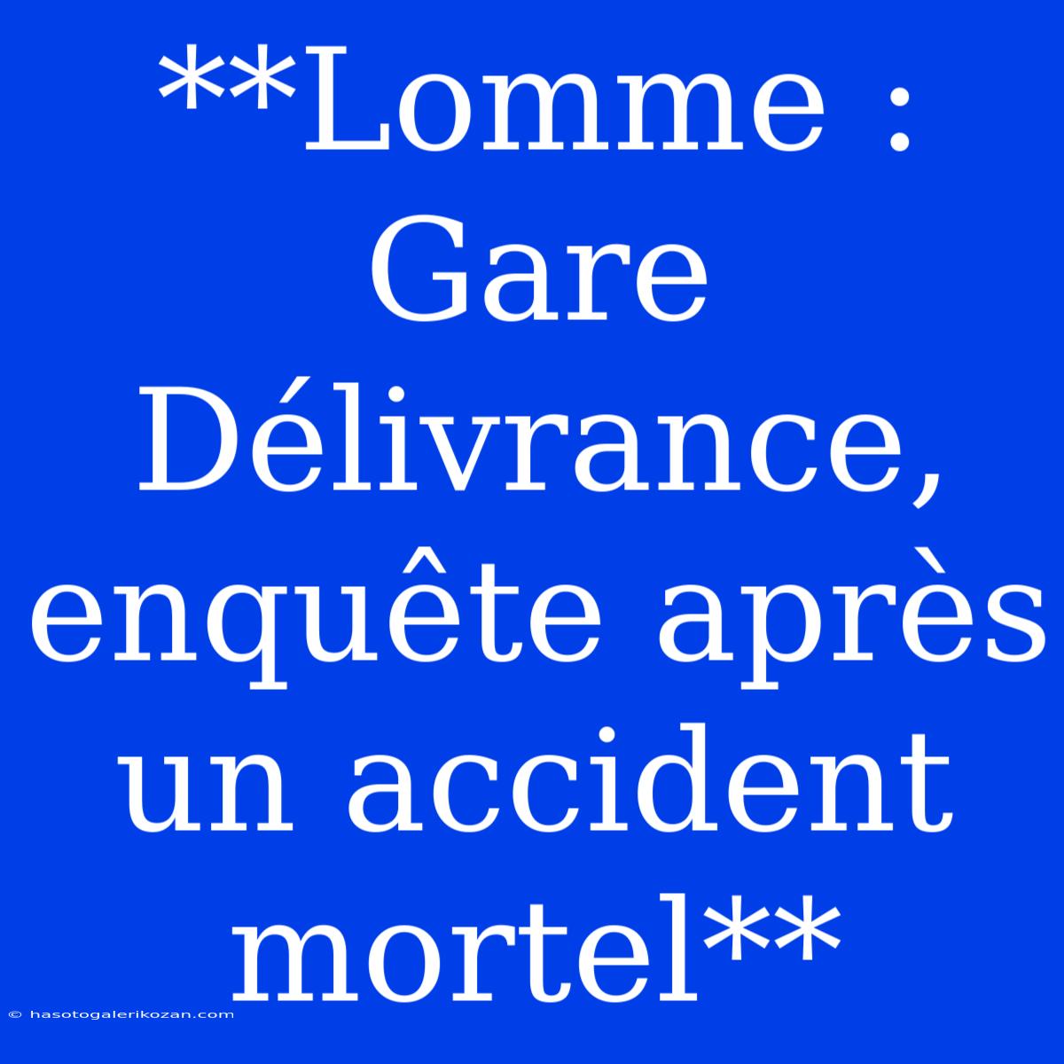 **Lomme : Gare Délivrance, Enquête Après Un Accident Mortel**