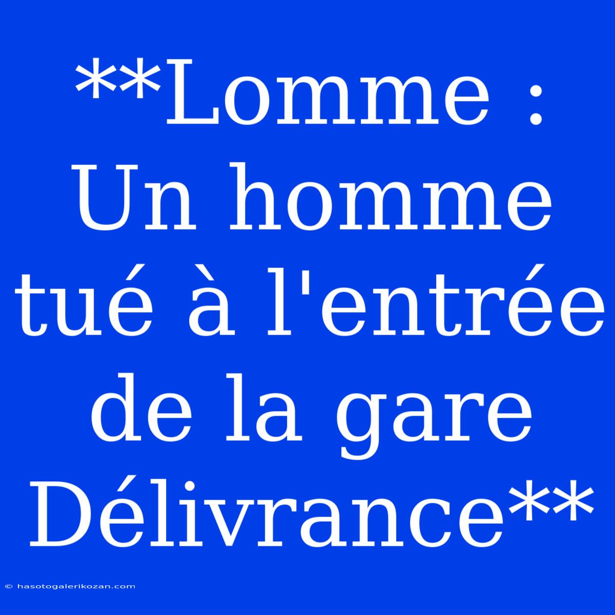 **Lomme : Un Homme Tué À L'entrée De La Gare Délivrance** 