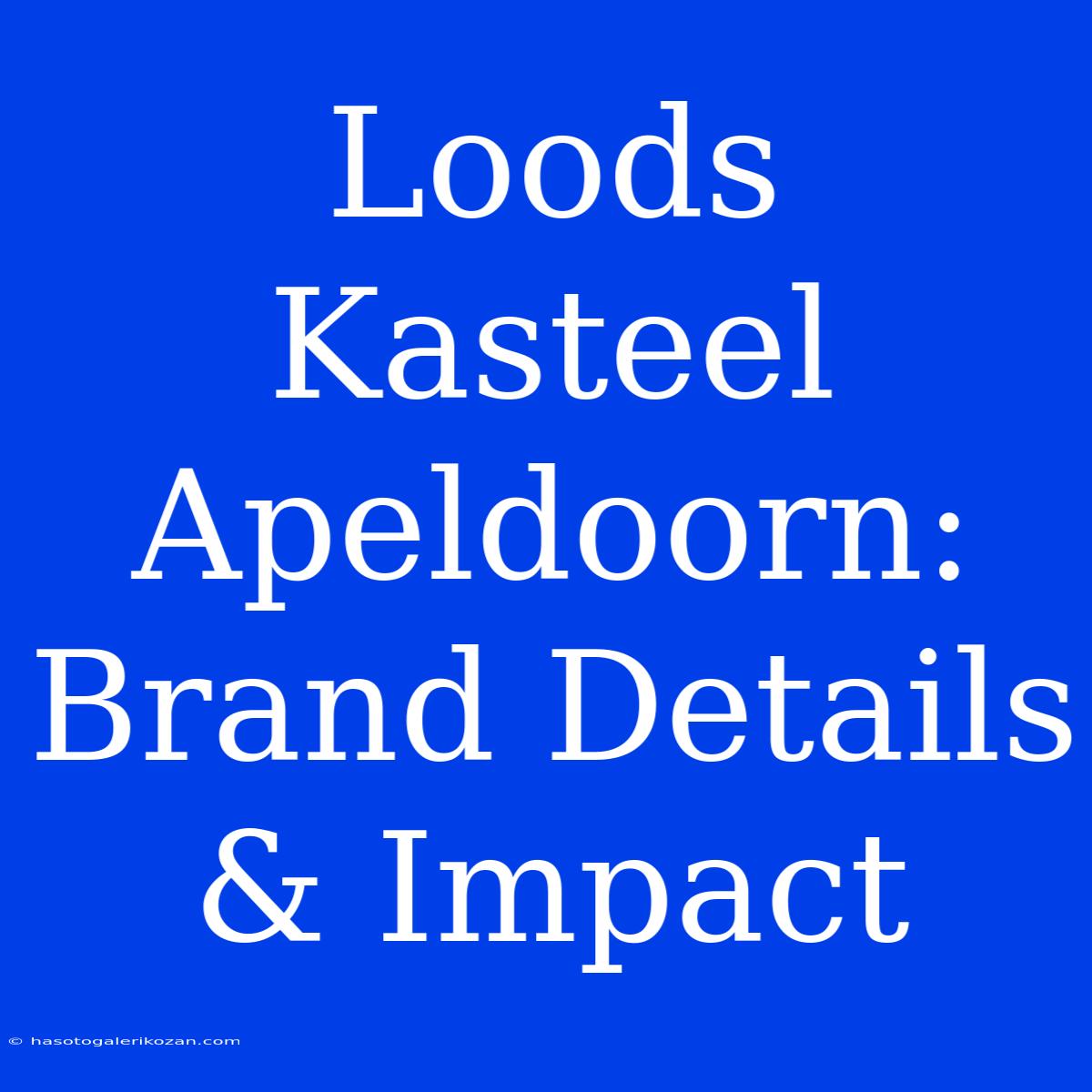 Loods Kasteel Apeldoorn: Brand Details & Impact