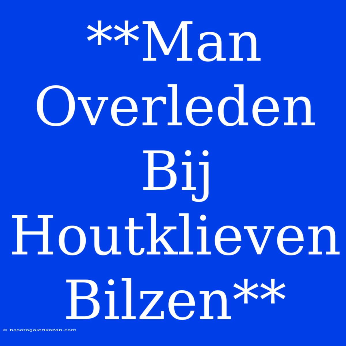 **Man Overleden Bij Houtklieven Bilzen** 