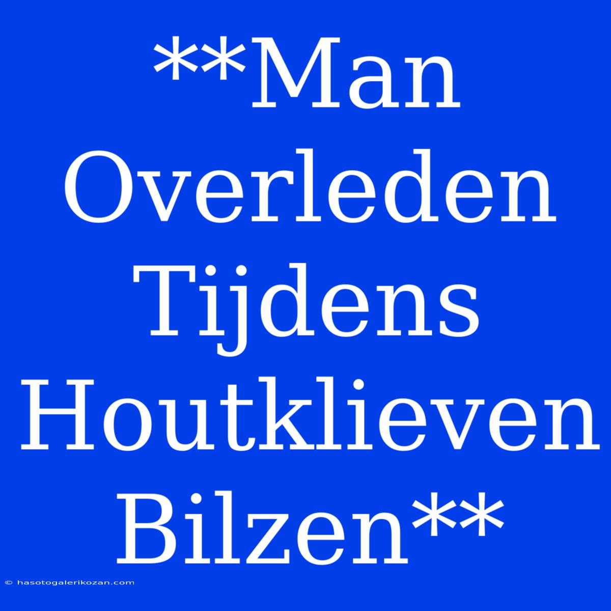 **Man Overleden Tijdens Houtklieven Bilzen**