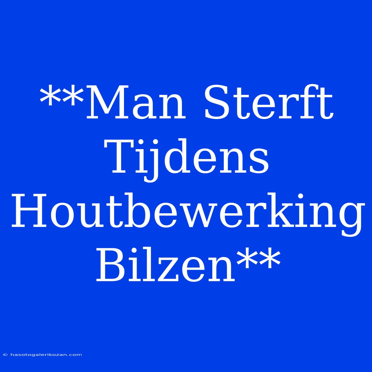 **Man Sterft Tijdens Houtbewerking Bilzen**