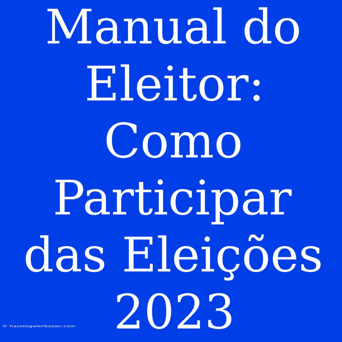 Manual Do Eleitor: Como Participar Das Eleições 2023