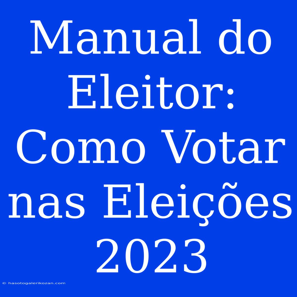 Manual Do Eleitor: Como Votar Nas Eleições 2023