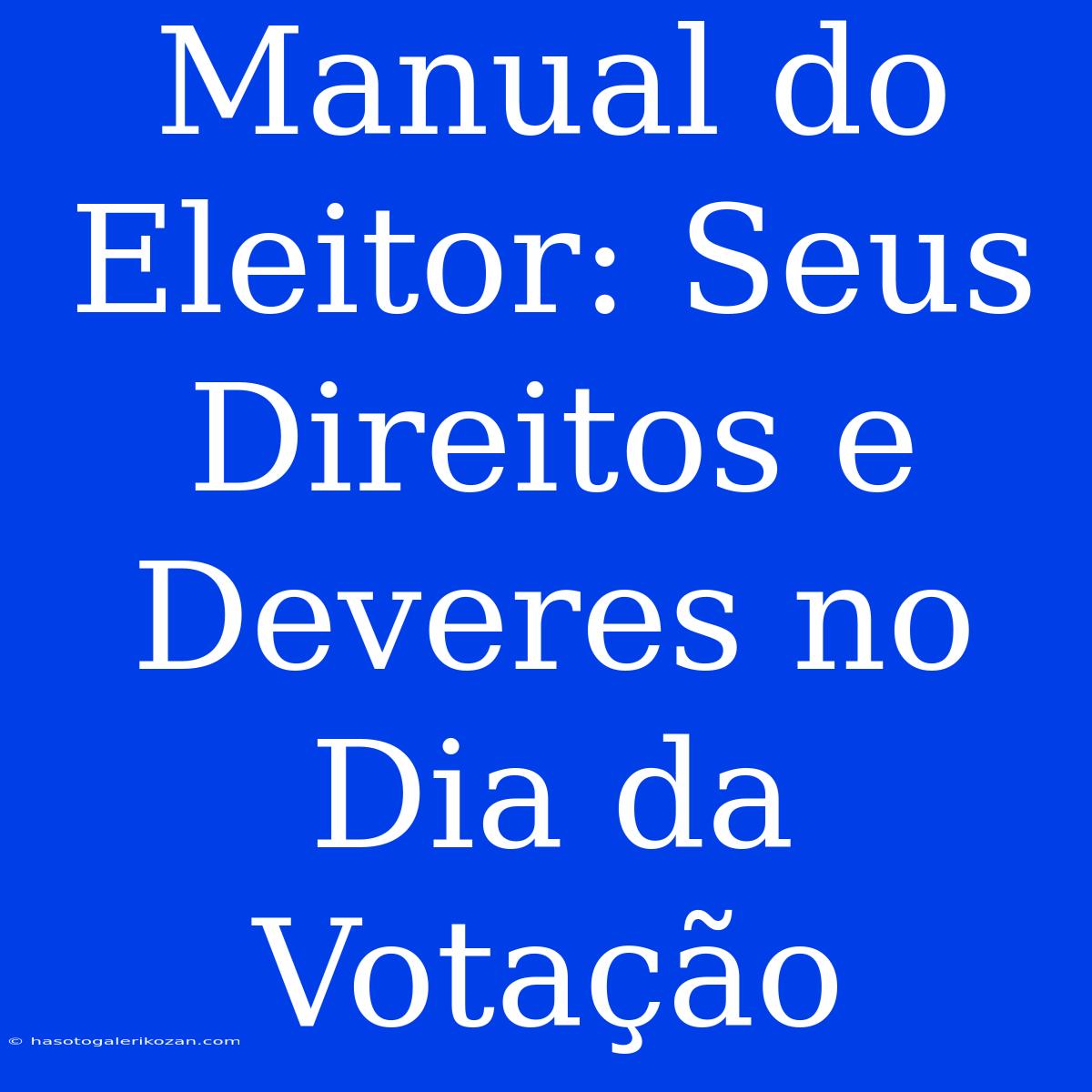 Manual Do Eleitor: Seus Direitos E Deveres No Dia Da Votação