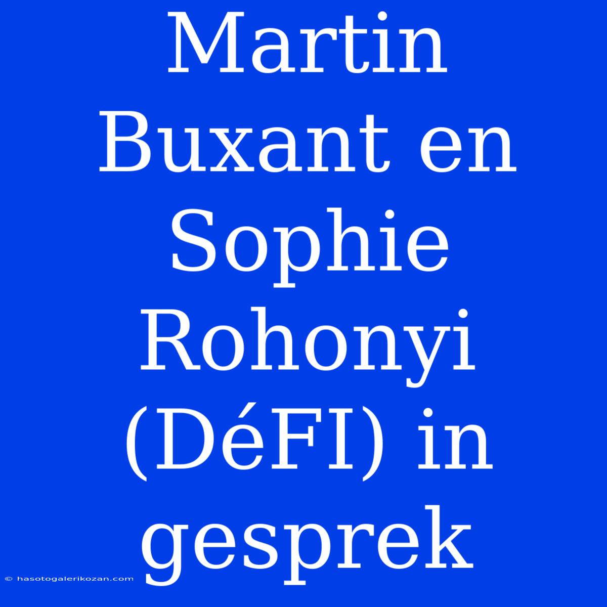 Martin Buxant En Sophie Rohonyi (DéFI) In Gesprek