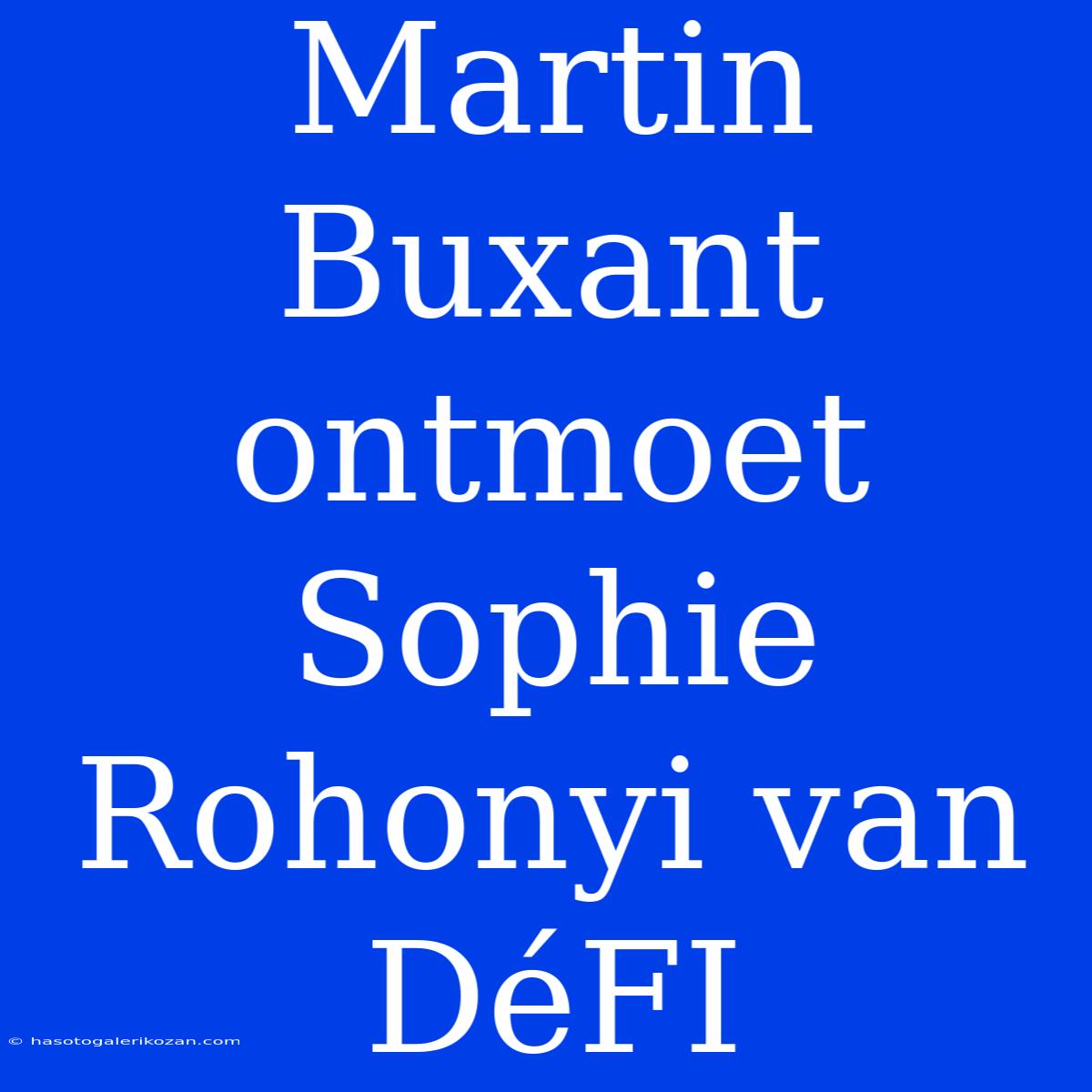 Martin Buxant Ontmoet Sophie Rohonyi Van DéFI