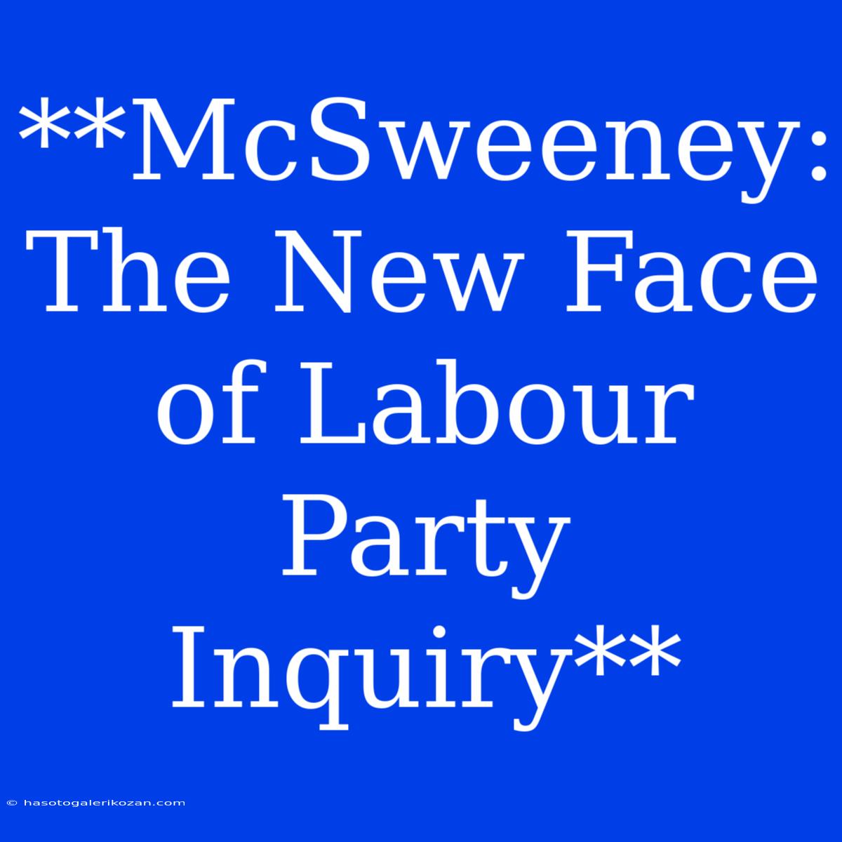 **McSweeney: The New Face Of Labour Party Inquiry**