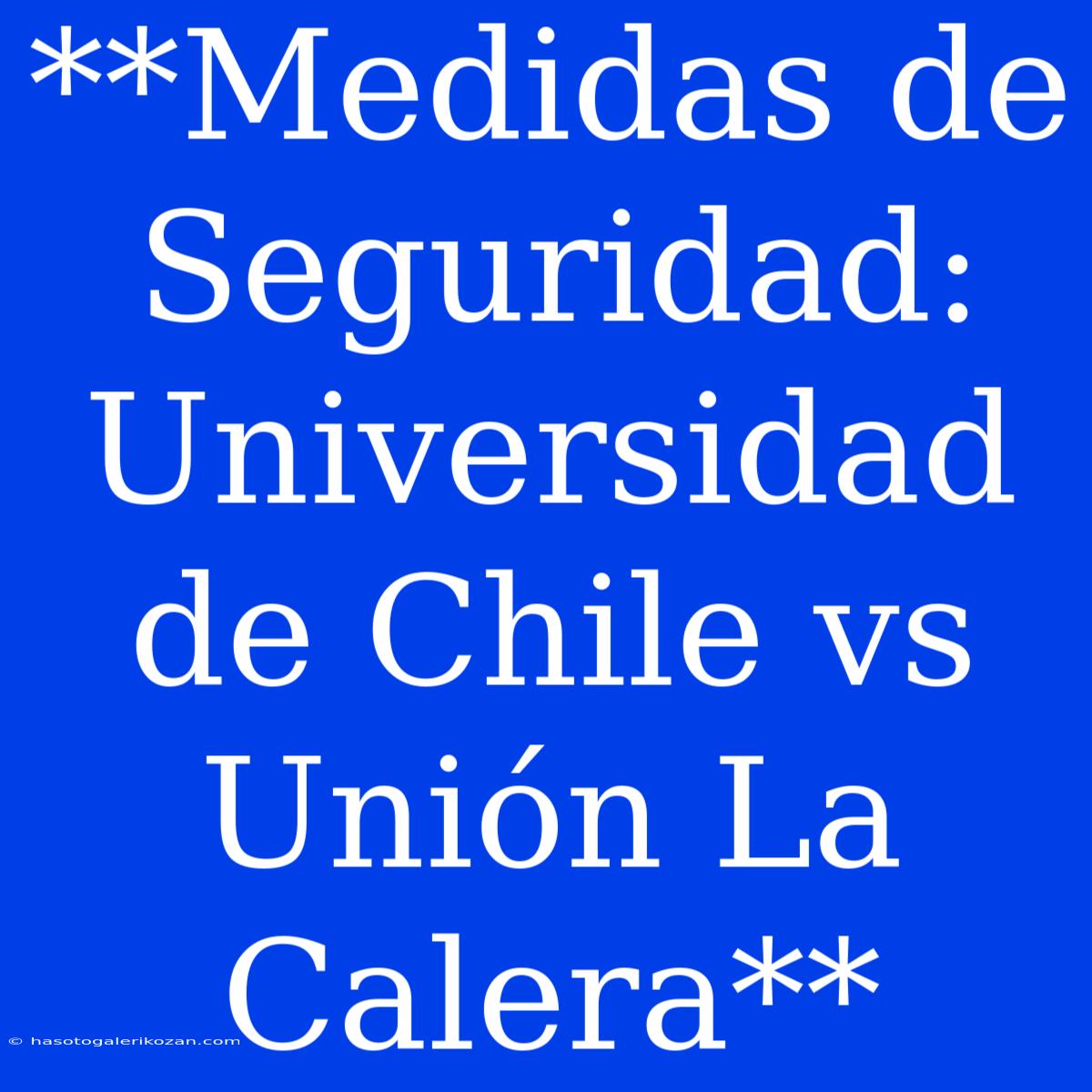 **Medidas De Seguridad: Universidad De Chile Vs Unión La Calera**