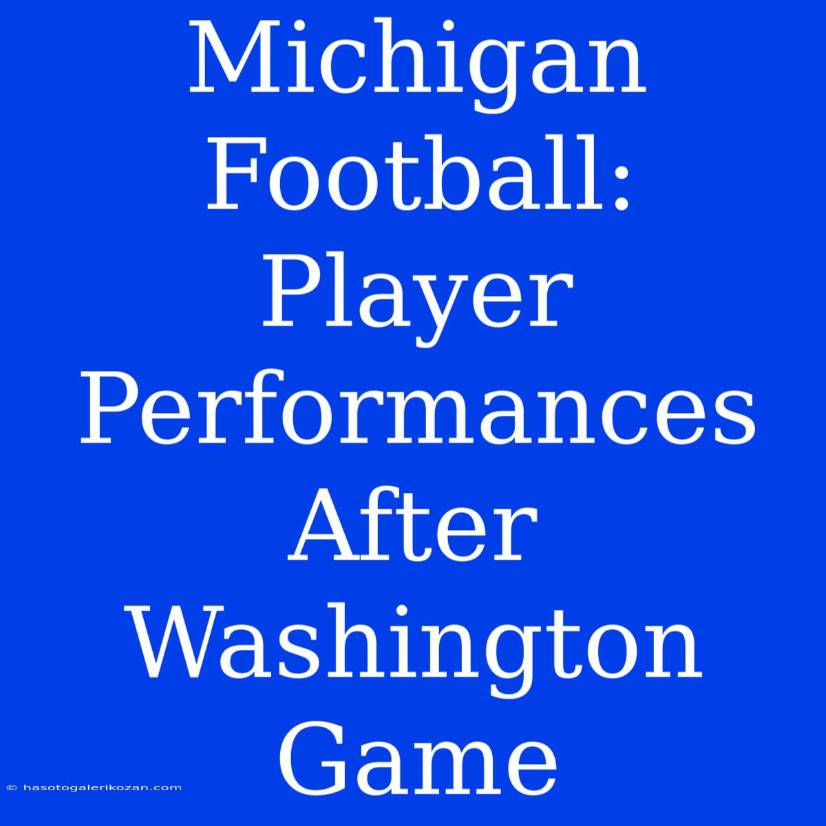 Michigan Football:  Player Performances After Washington Game