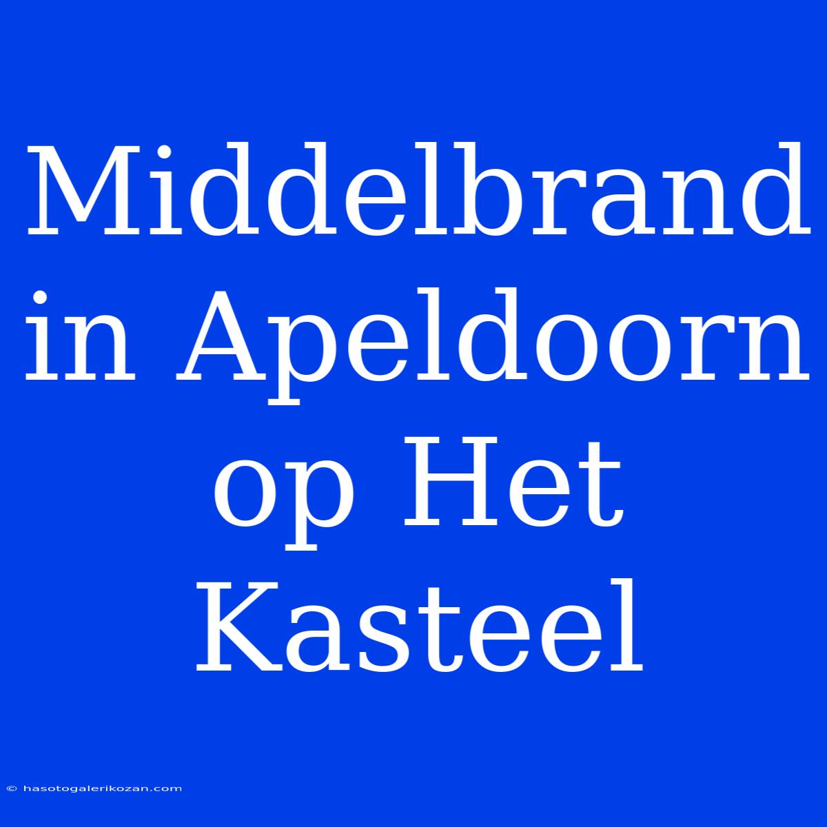 Middelbrand In Apeldoorn Op Het Kasteel