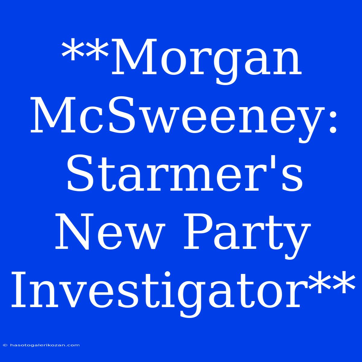 **Morgan McSweeney: Starmer's New Party Investigator**