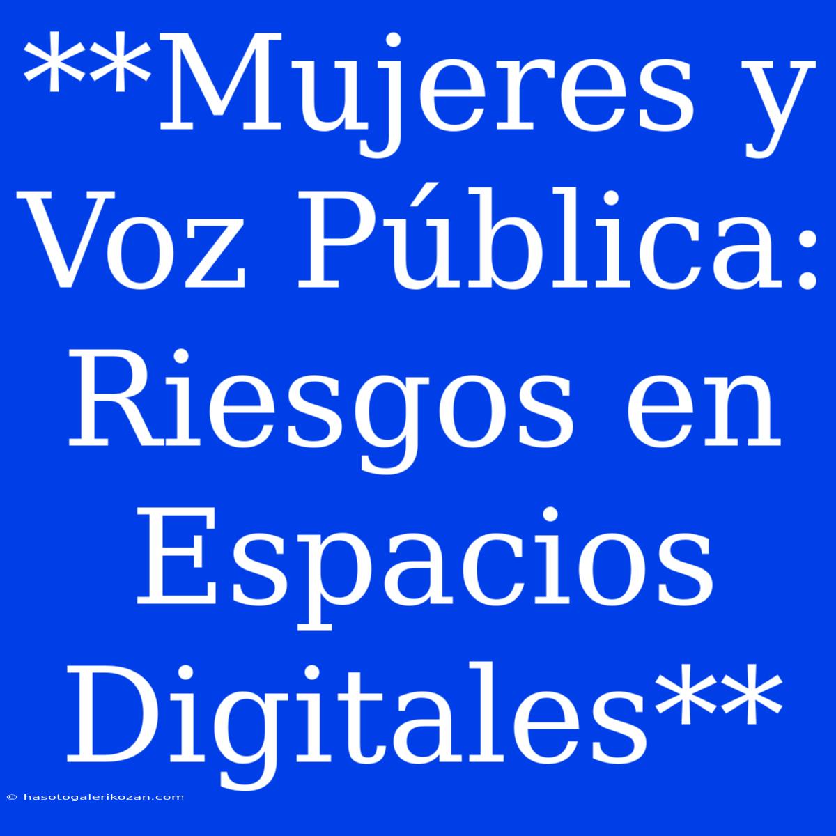 **Mujeres Y Voz Pública: Riesgos En Espacios Digitales**